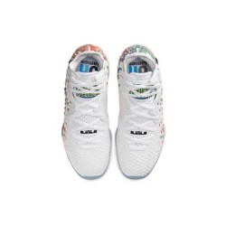 Nike LeBron 17 - Design Actuel et Performant