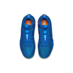 Nike LeBron 15 - Design Actuel Performant